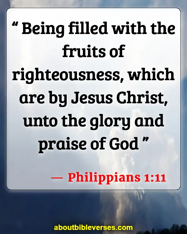 Bible Verses For Pursue Righteousness (Philippians 1:11)