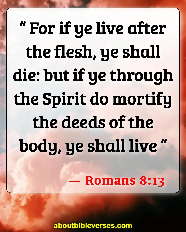 Bible Verses About Respecting Your Body (Romans 8:13)
