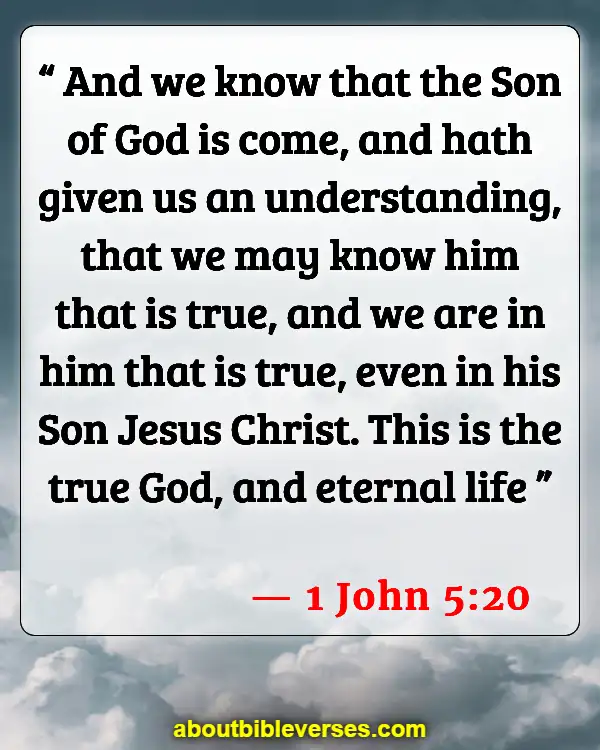 Verses In The Bible About Life (1 John 5:20)