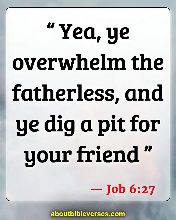 Bible Verses About Take Care Of Widows And Orphans (Job 6:27)