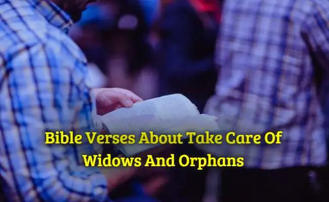 Bible Verses About Take Care Of Widows And Orphans