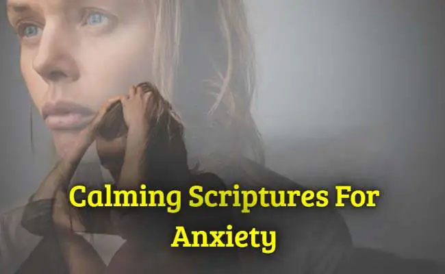 Calming Scriptures For Anxiety