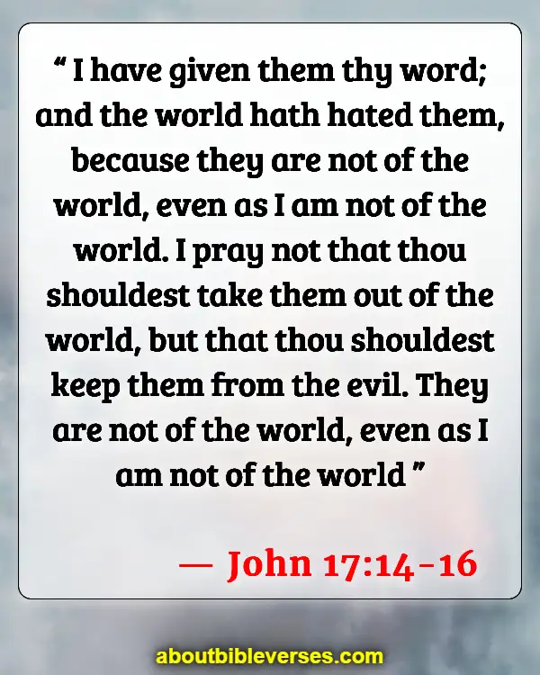 Bible Verse About Being Set Apart From The World (John 17:14-16)