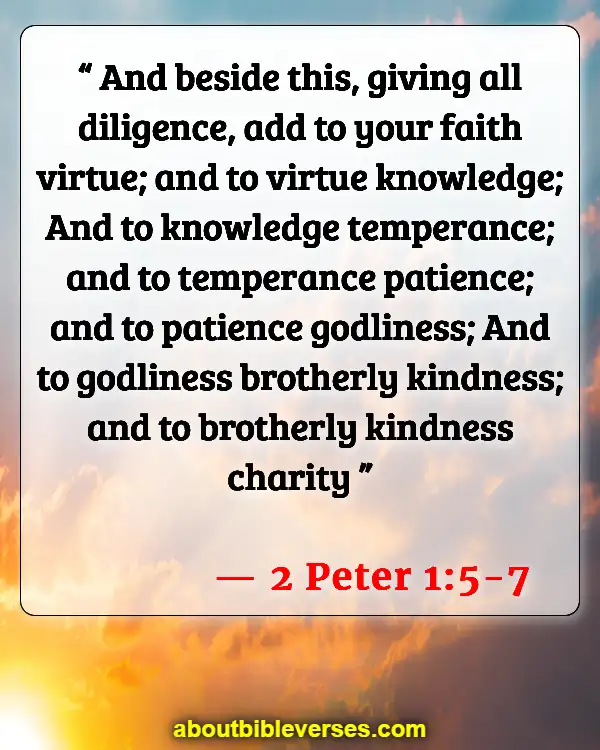 Bible Verses About Siblings Fighting And Betrayal (2 Peter 1:5-7)