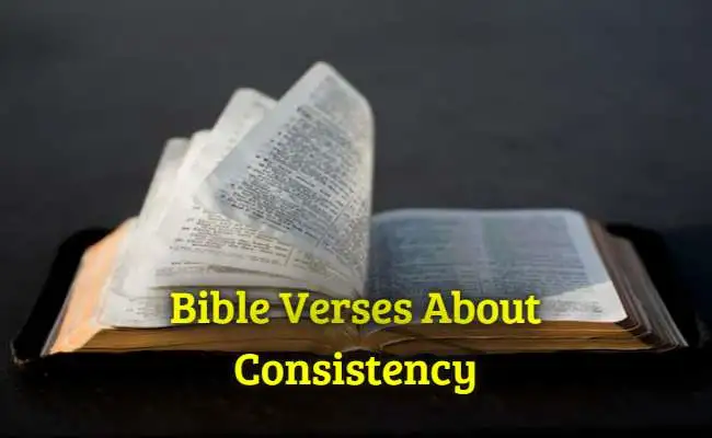 Bible Verses About Consistency