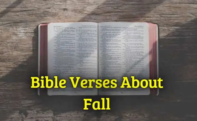 Bible Verses About Fall