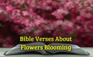 Bible Verses About Flowers Blooming