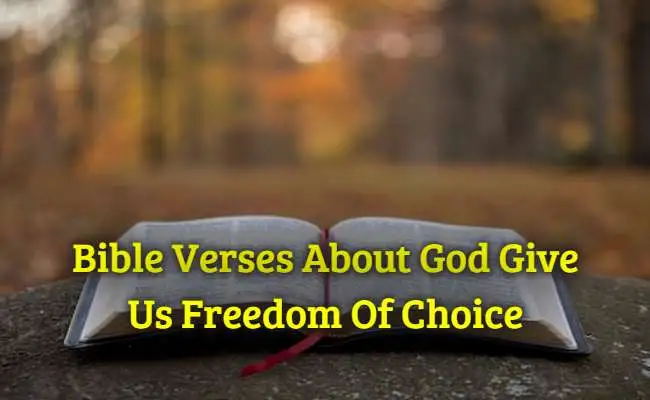 Bible Verses About God Give Us Freedom Of Choice
