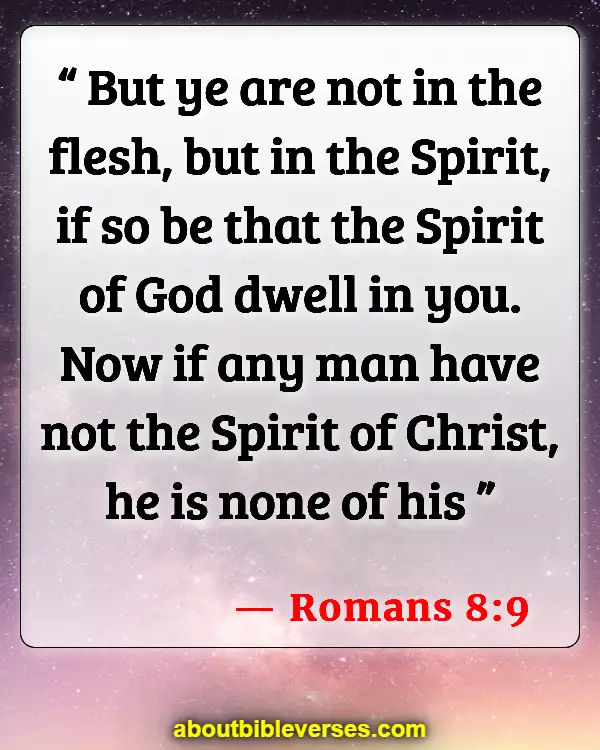 Bible Verses About Hope Anchors The Soul (Romans 8:9)