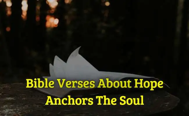 Bible Verses About Hope Anchors The Soul