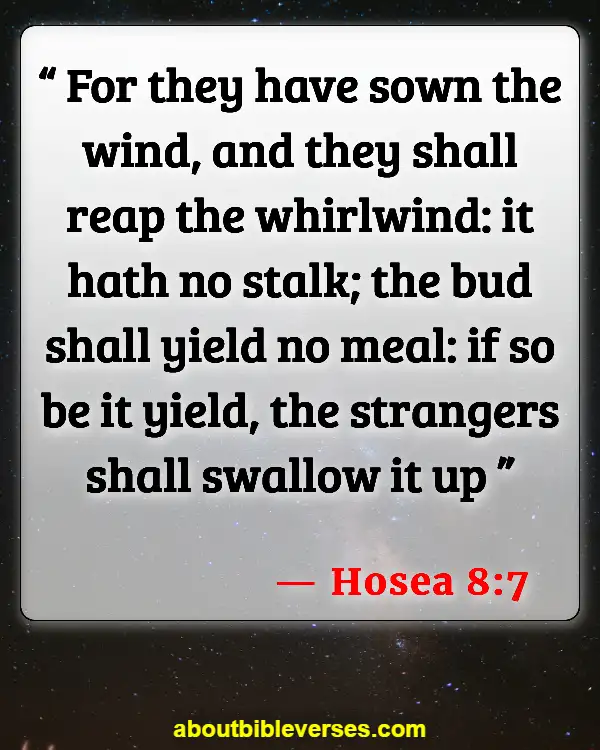 Bible Verses About Karma (Hosea 8:7)