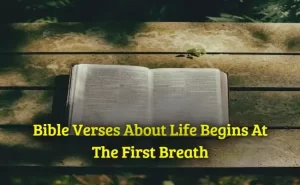 Bible Verses About Life Begins At The First Breath