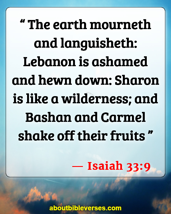 Bible Verses About Rose Of Sharon (Isaiah 33:9)