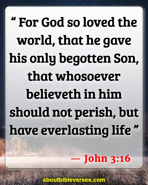 Bible Verses For Love Is Not Selfish (John 3:16)