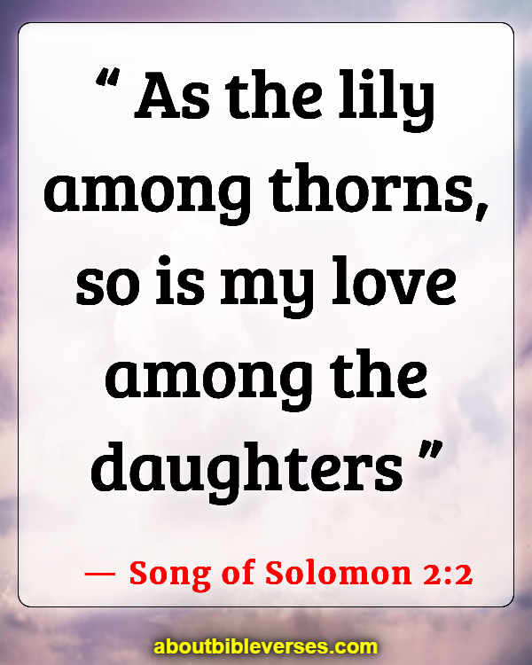 Bible Verses About Rose Of Sharon (Song of Solomon 2:2)