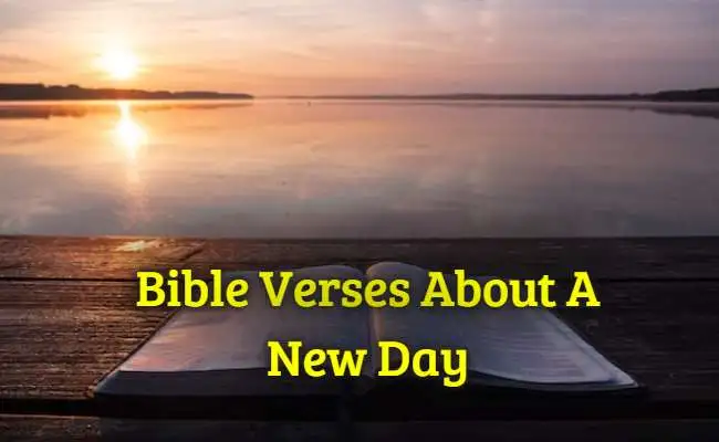Bible Verses About A New Day