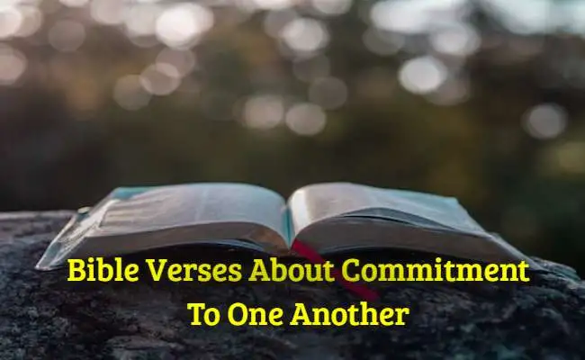 Bible Verses About Commitment To One Another