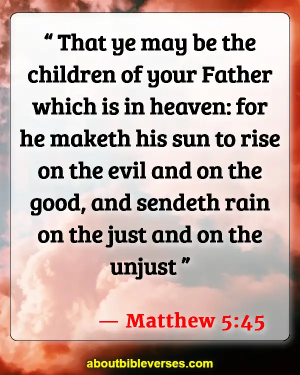 Bible Verses About Enemies Defeated (Matthew 5:45)