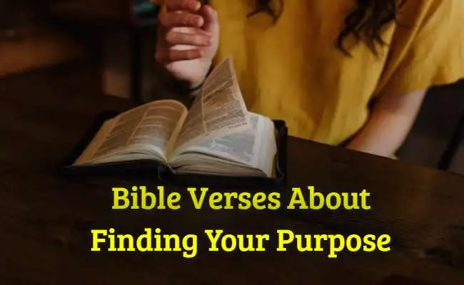Bible Verses About Finding Your Purpose