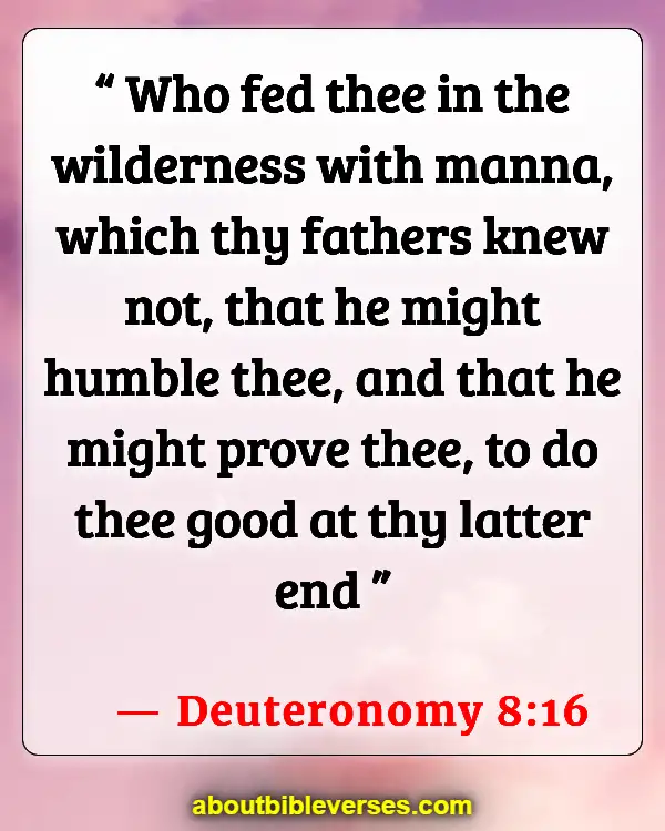Bible Verses About God Testing Us (Deuteronomy 8:16)