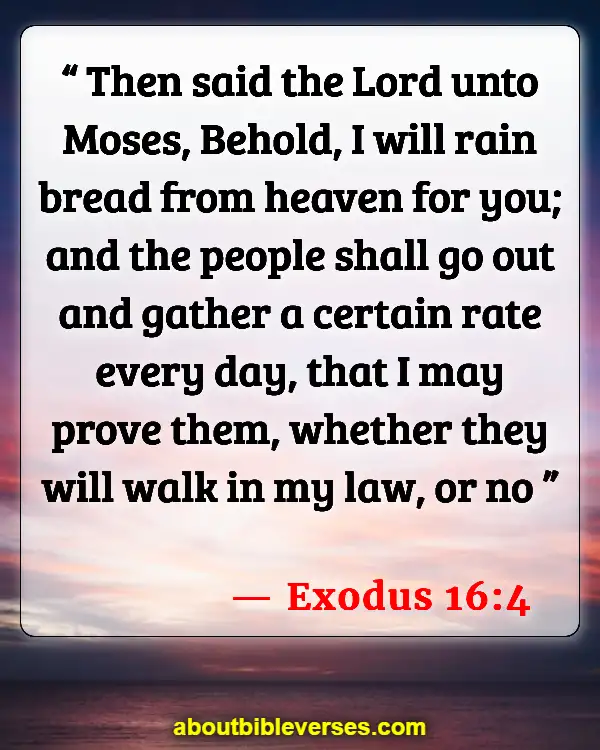 Bible Verses About God Testing Us (Exodus 16:4)