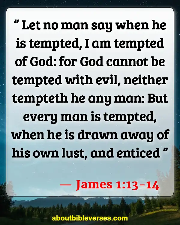 Bible Verses About God Testing Us (James 1:13-14)
