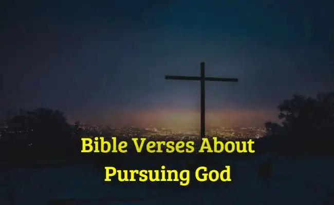 Bible Verses About Pursuing God