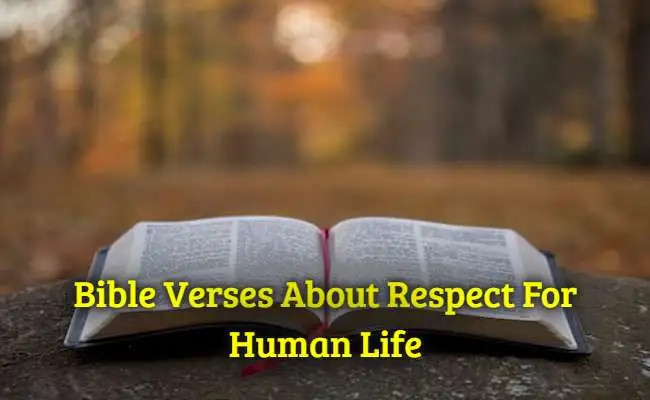 Bible Verses About Respect For Human Life