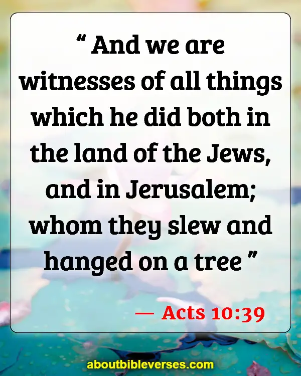 Bible Verses About The Cross (Acts 10:39)