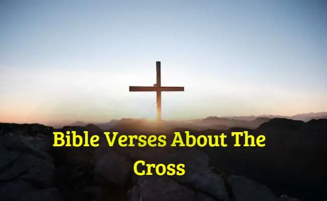 Bible Verses About The Cross