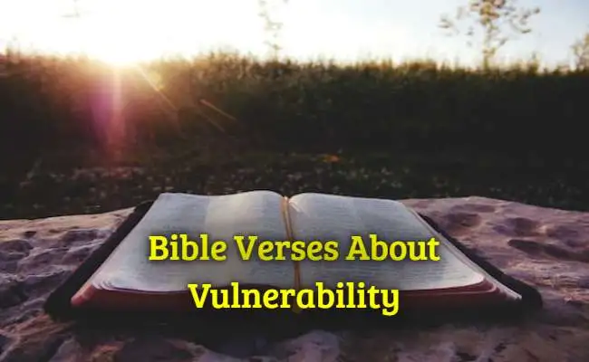 Bible Verses About Vulnerability