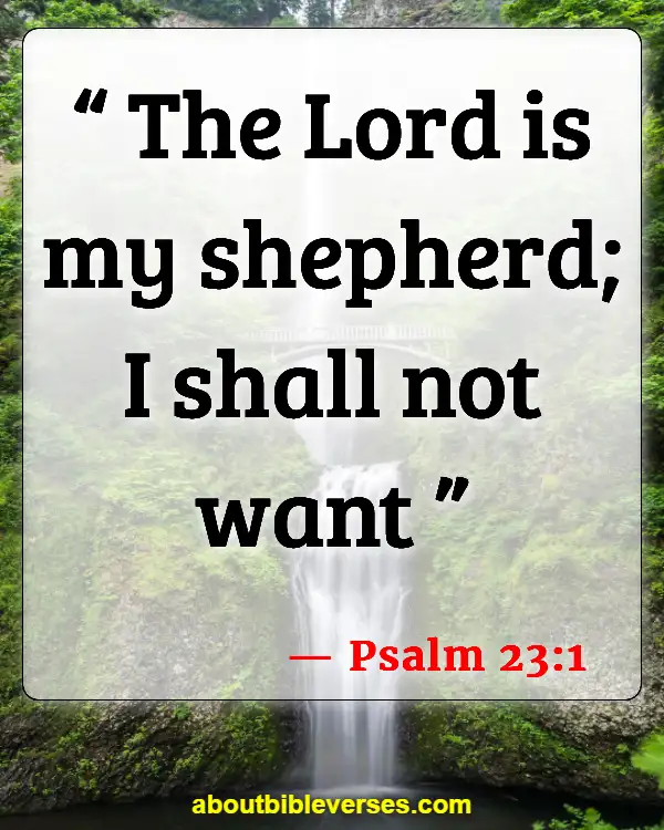 Bible Verses For Eating Disorders (Psalm 23:1)