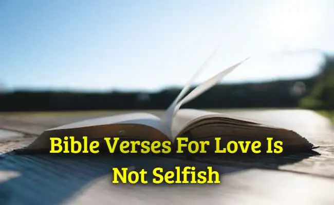 Bible Verses For Love Is Not Selfish