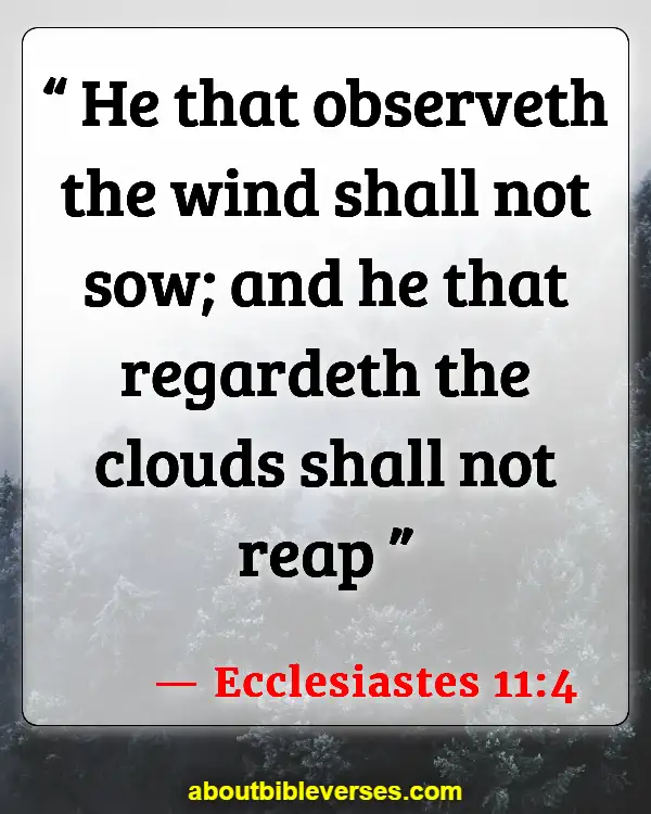 Bible Verses For Social Media Sharing (Ecclesiastes 11:4)