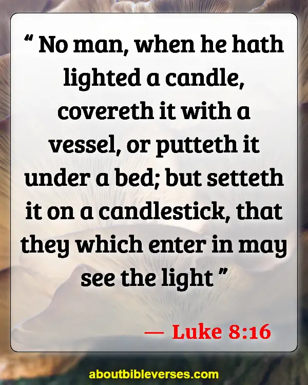 Bible Verses For Social Media Sharing (Luke 8:16)