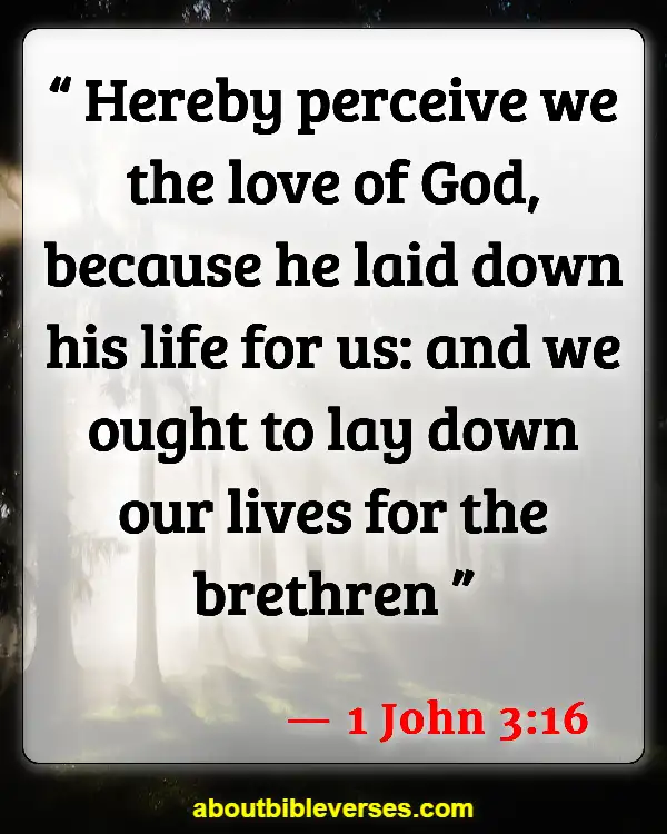 Bible Verses For Love Is Not Selfish (1 John 3:16)