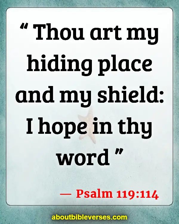 Bible Verses - Protect Your Home From Evil Spirits (Psalm 119:114)
