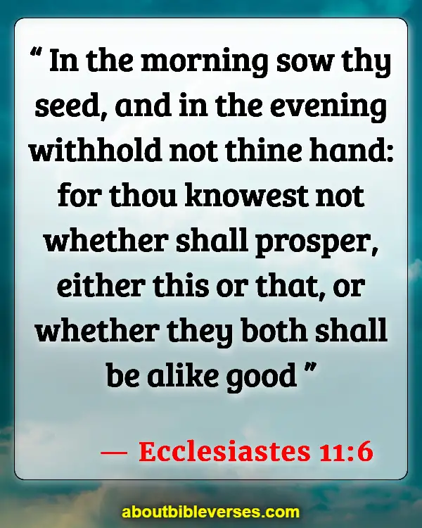 Bible Verses About Farming (Ecclesiastes 11:6)