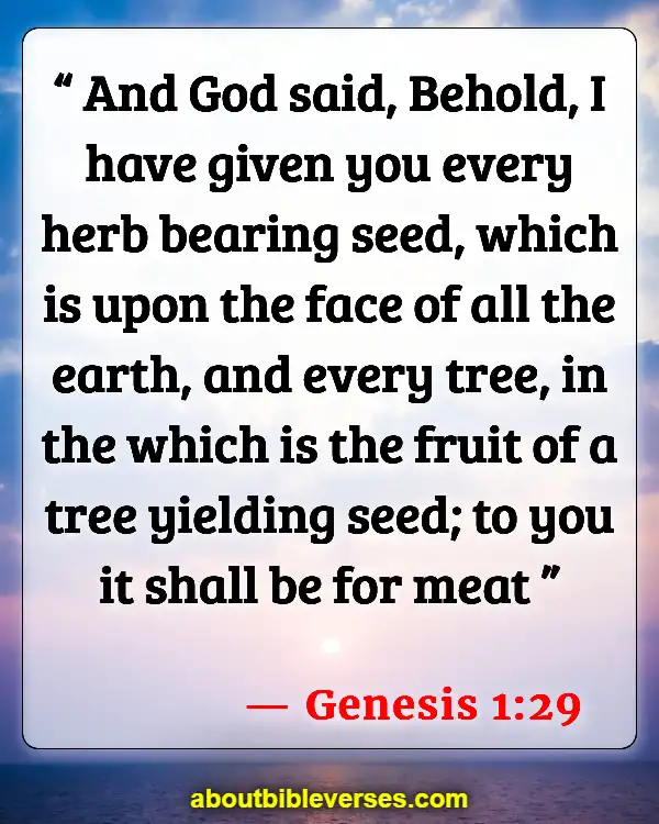 Bible Verses About Farming (Genesis 1:29)