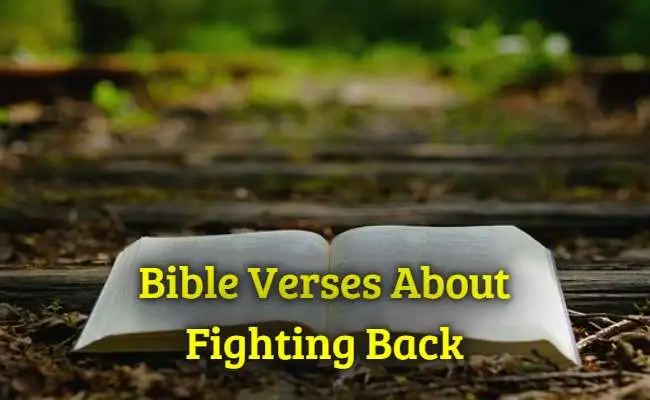 Bible Verses About Fighting Back