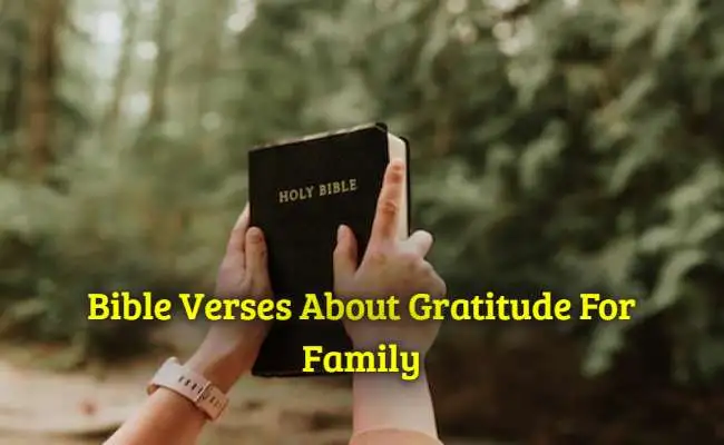 Bible Verses About Gratitude For Family