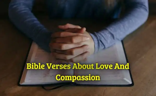 Bible Verses About Love And Compassion