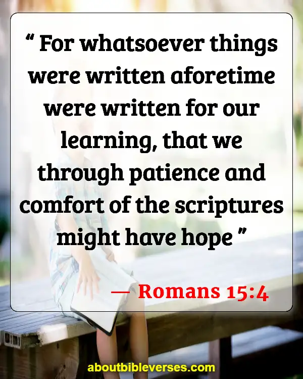 Bible Verses About Patience And Perseverance (Romans 15:4)