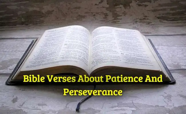 Bible Verses About Patience And Perseverance
