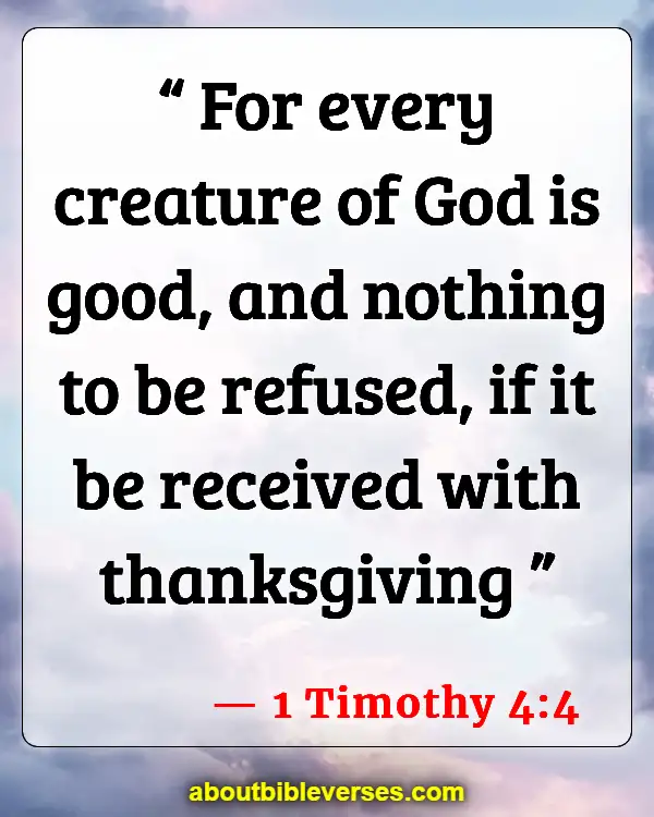 Bible Verses About Respecting Gods Creation (1 Timothy 4:4)