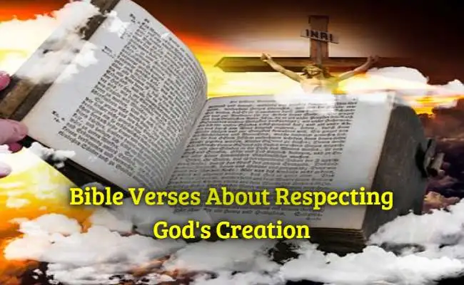 Bible Verses About Respecting Gods Creation