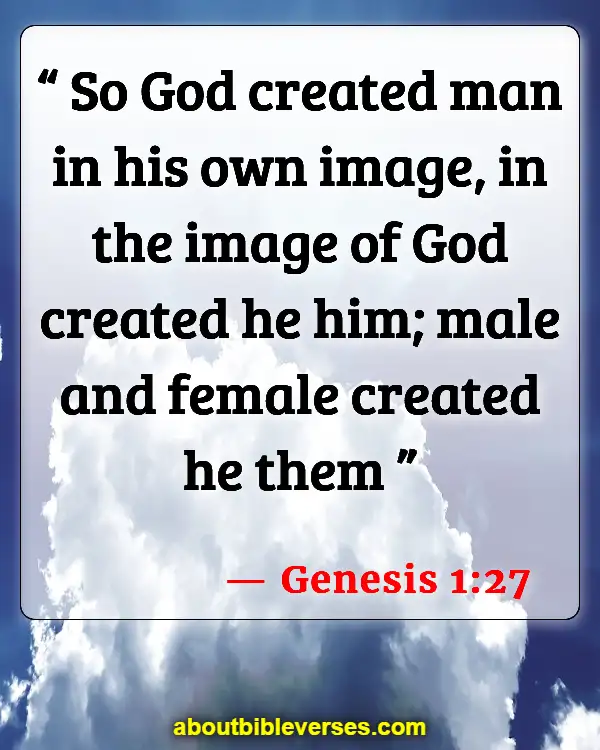 Bible Verses About Respecting Gods Creation (Genesis 1:27)