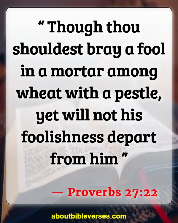 Bible Verses About Stupidity (Proverbs 27:22)