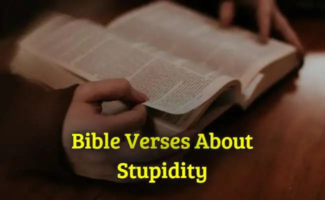 Bible Verses About Stupidity