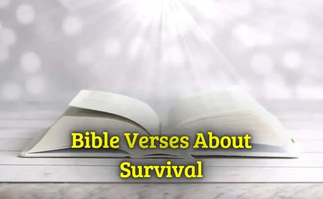 Bible Verses About Survival